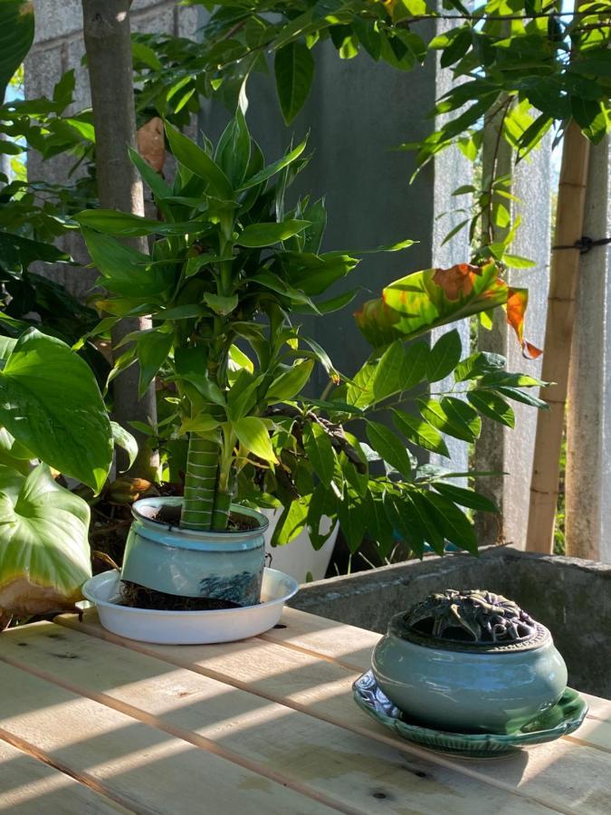 Laoxao Homestay 会安 外观 照片