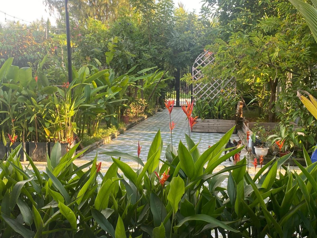 Laoxao Homestay 会安 外观 照片