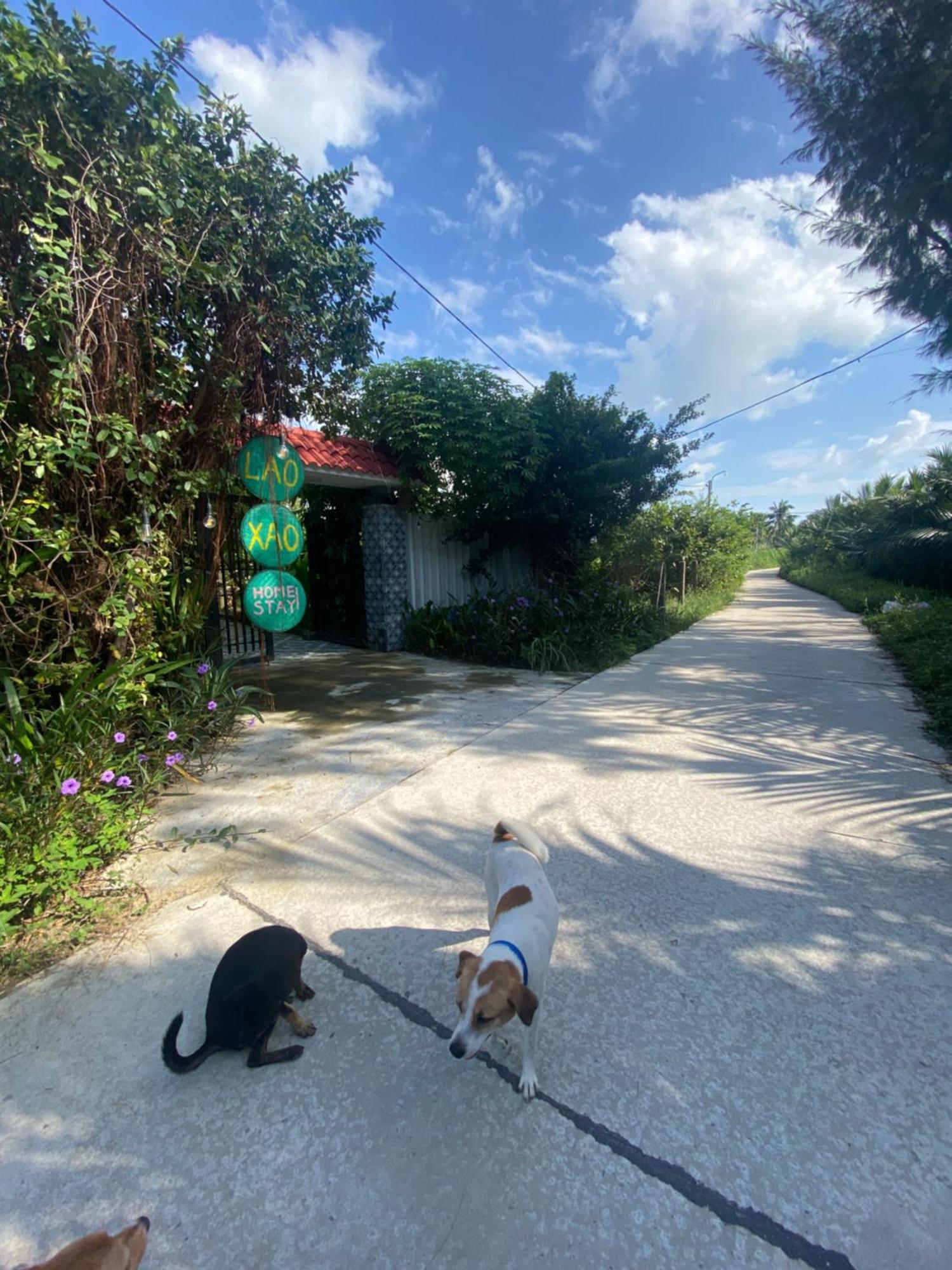 Laoxao Homestay 会安 外观 照片